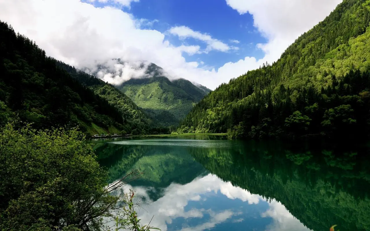 高标准精密